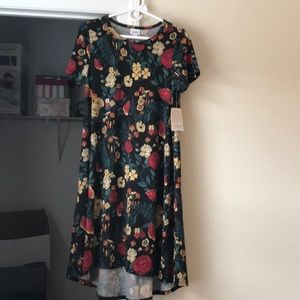 Lularoe Small Carly NWT